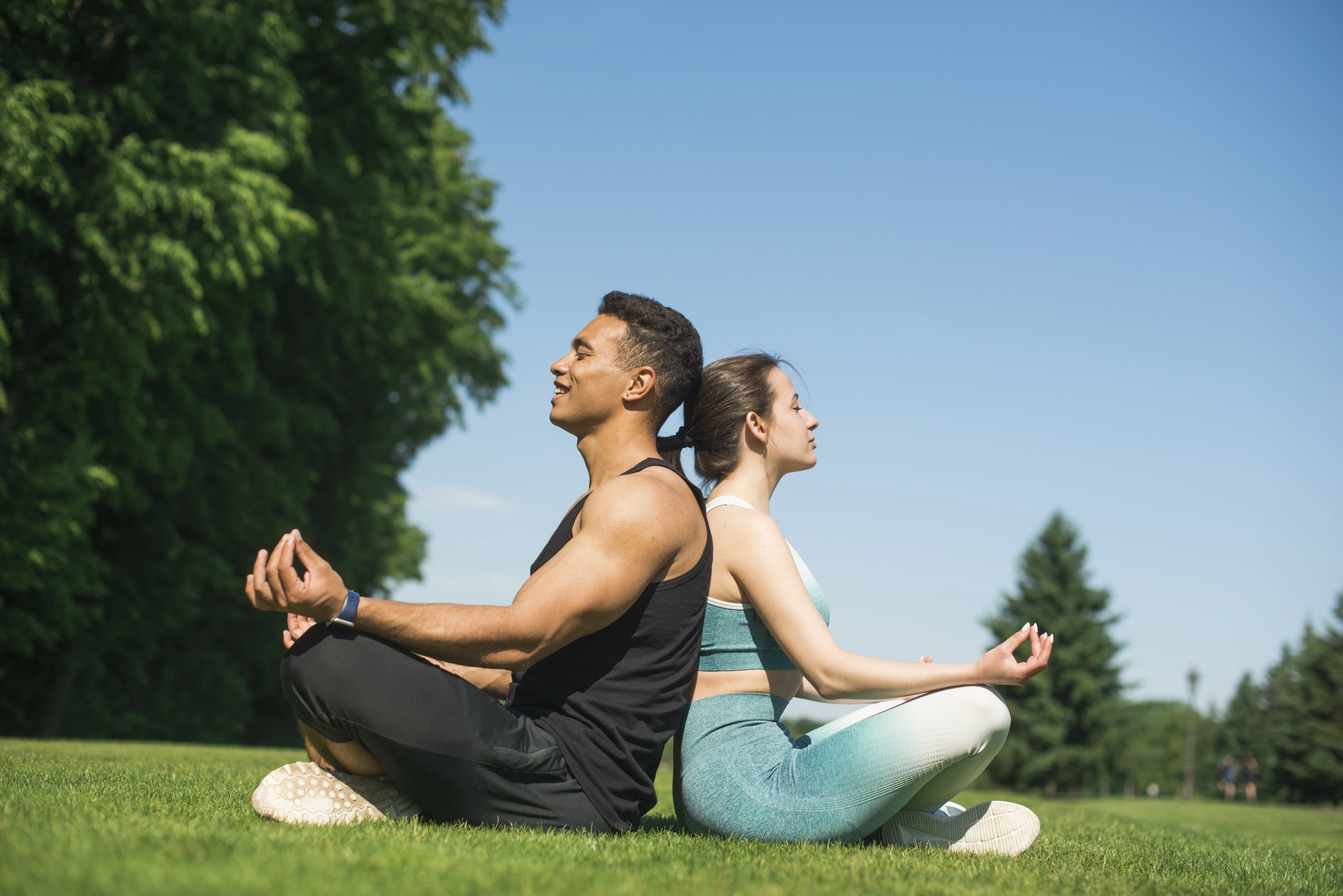 wellness products